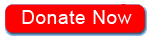 Bridges Commission Logo